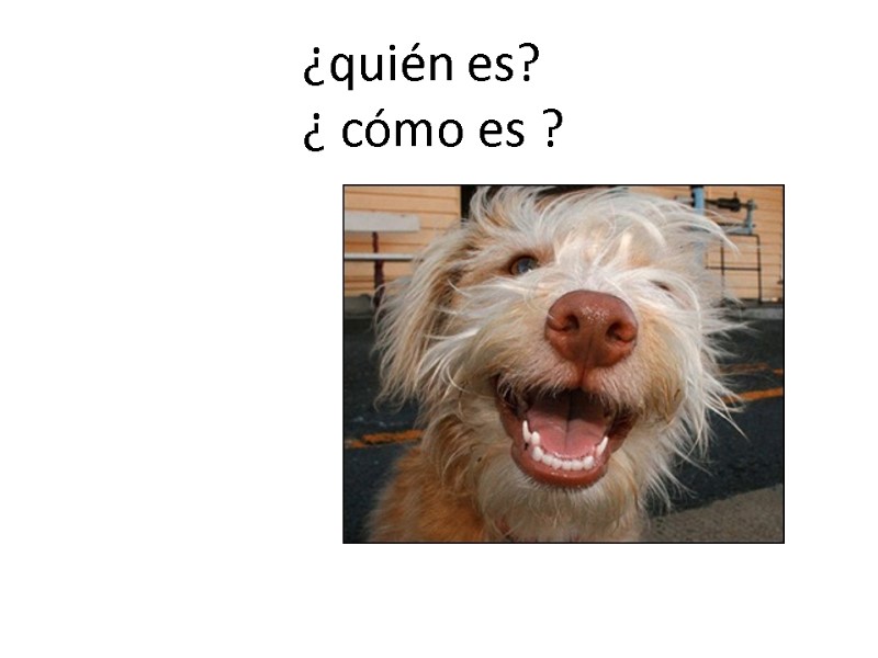 ¿quién es? ¿ cómo es ?